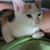 Alicia Hullihan's profile image
