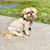 Shelly Brinkley Weder-Miller's profile image