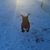 Cindy Cymbaluk's profile image