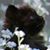 Vicki Thurmond Amick's profile image
