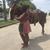 Deborah O'Neal's profile image