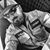 Zach Miller's profile image