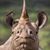 Bruce Calder's profile image