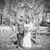 Gretchen Carroll's profile image