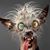 Jim Davis Sr.'s profile image