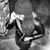 Tamar Simone Smith's profile image
