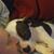 Chelle Doyer's profile image