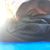 Trevor Hayes's profile image