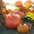 Sherry Rucinski's profile image