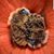 Debbie King's profile image