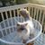 Jan Moser's profile image