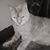 Jo-Lynn Wisniewski's profile image