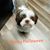 Jodi Howard-Doerr's profile image
