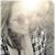 Andrea Cordero's profile image