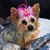 Jeannie Wright Packard's profile image