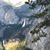 Patti George's profile image