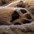 Lynn Hamon's profile image