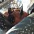 Jacqueline Allaire's profile image