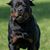 Amanda Frueh-Gambill's profile image
