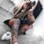 Javier B R T Crespo's profile image