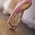 Shelly Hagen Brush's profile image