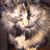 Renee Eppler Kearney's profile image
