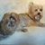 Linda Whitfield Malzone's profile image
