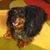 Toby Davis's profile image