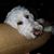 Doug Plym's profile image