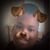 Amanda Perez's profile image