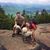 Andrea Sauer's profile image