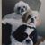 Ann Shepich's profile image