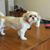 Roz Ann Dillon's profile image