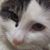 Amy Carman's profile image