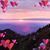 Dee McCollough's profile image