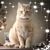 Chris Byrom's profile image