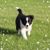 Tami Wyckoff's profile image