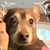 Michael Giovannangelo's profile image