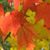 Candi Poll Price's profile image