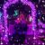 Mia Roque's profile image