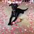 Kathy Barkocy's profile image