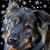 Laura Groseth's profile image