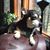 Lisa Sligh Arbour's profile image