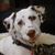 J Enifer Susan's profile image