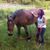Michelle M. Watson Leclair's profile image