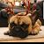 Christine Stevenson's profile image