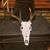 Larry Ruffi's profile image