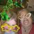 Suzie Marie's profile image