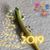 Yoshie Hoshi's profile image