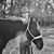 Binion Long's profile image